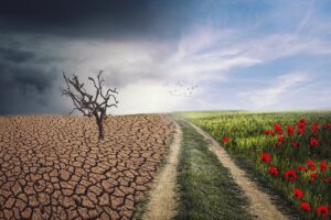 pxclimateaction, climate, landscape-4684217.jpg