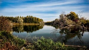 river, trees, fall-972786.jpg